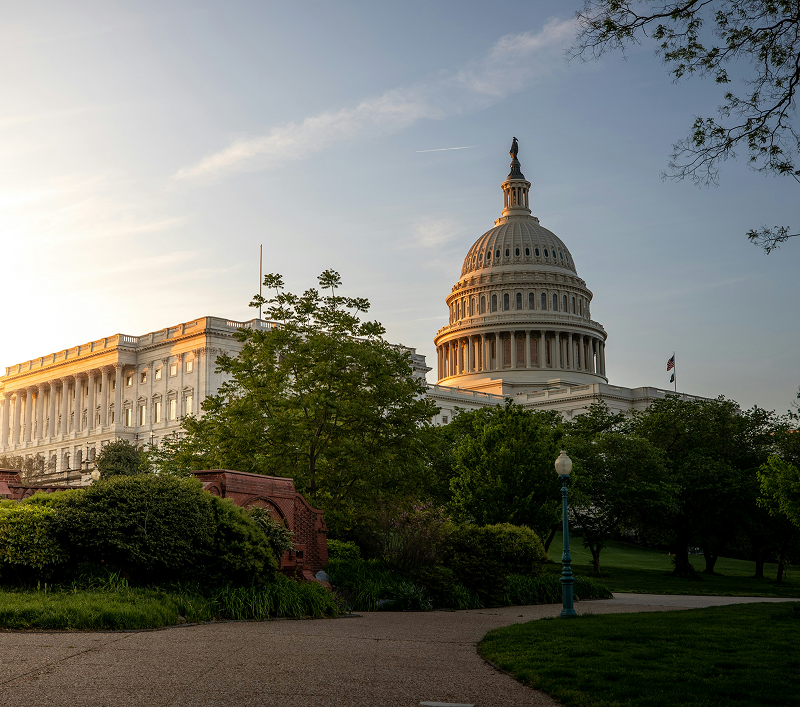 Government building and public entity professionals
