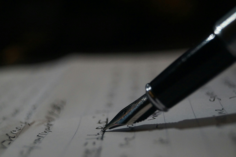 Terms of Use - Legal document and professional consultation
